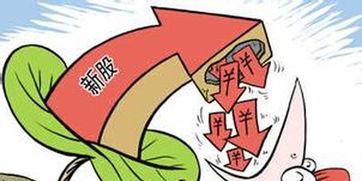 余杭爆料欠薪最新消息,工友讨薪行动持续，官方回应引关注