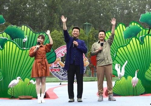 新世界索隆最新爆料视频,揭秘剑客背后的秘密与未来动向